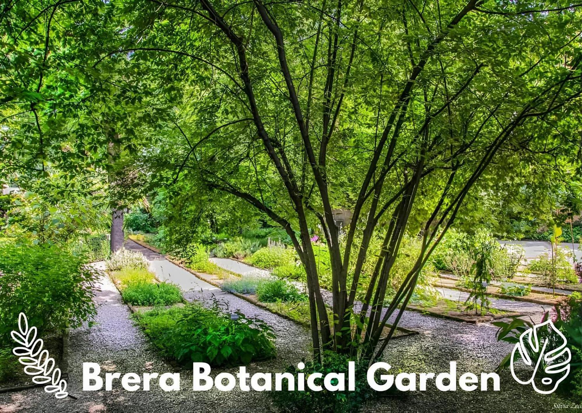 米兰Brera Vip Spotlight - Brera - Duomo - Castello Sforzesco - Lanza Metro M2公寓 外观 照片